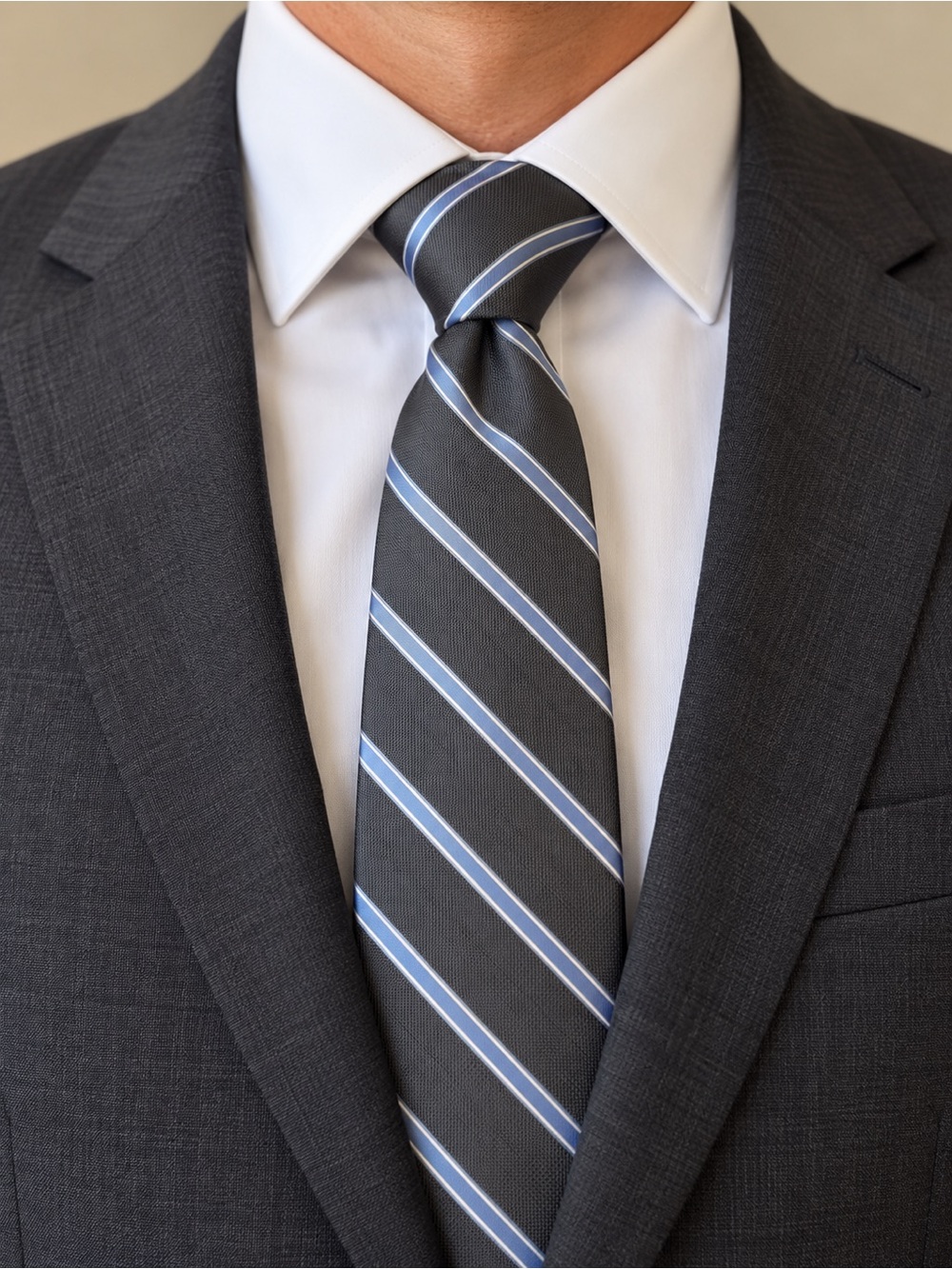 Ermenegildo Zegna Charcoal Gray Suit with White Shirt and Blue-Striped Tie
